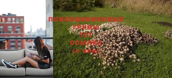 дистиллят марихуана Армянск